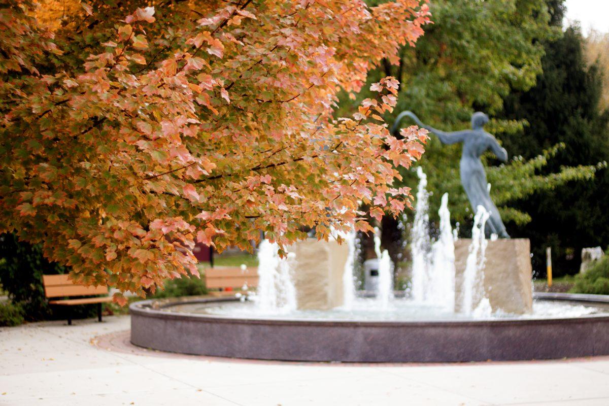 Fall festivities in abundance this year