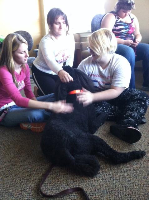 Students relax with Paris, a certified therapy dog. Preface Photo/TRICIA MCCANN