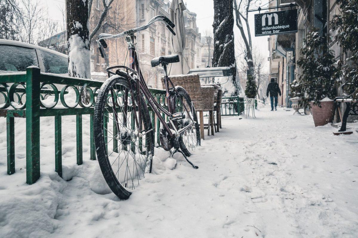Photo by Dave Haas on Pexels.com