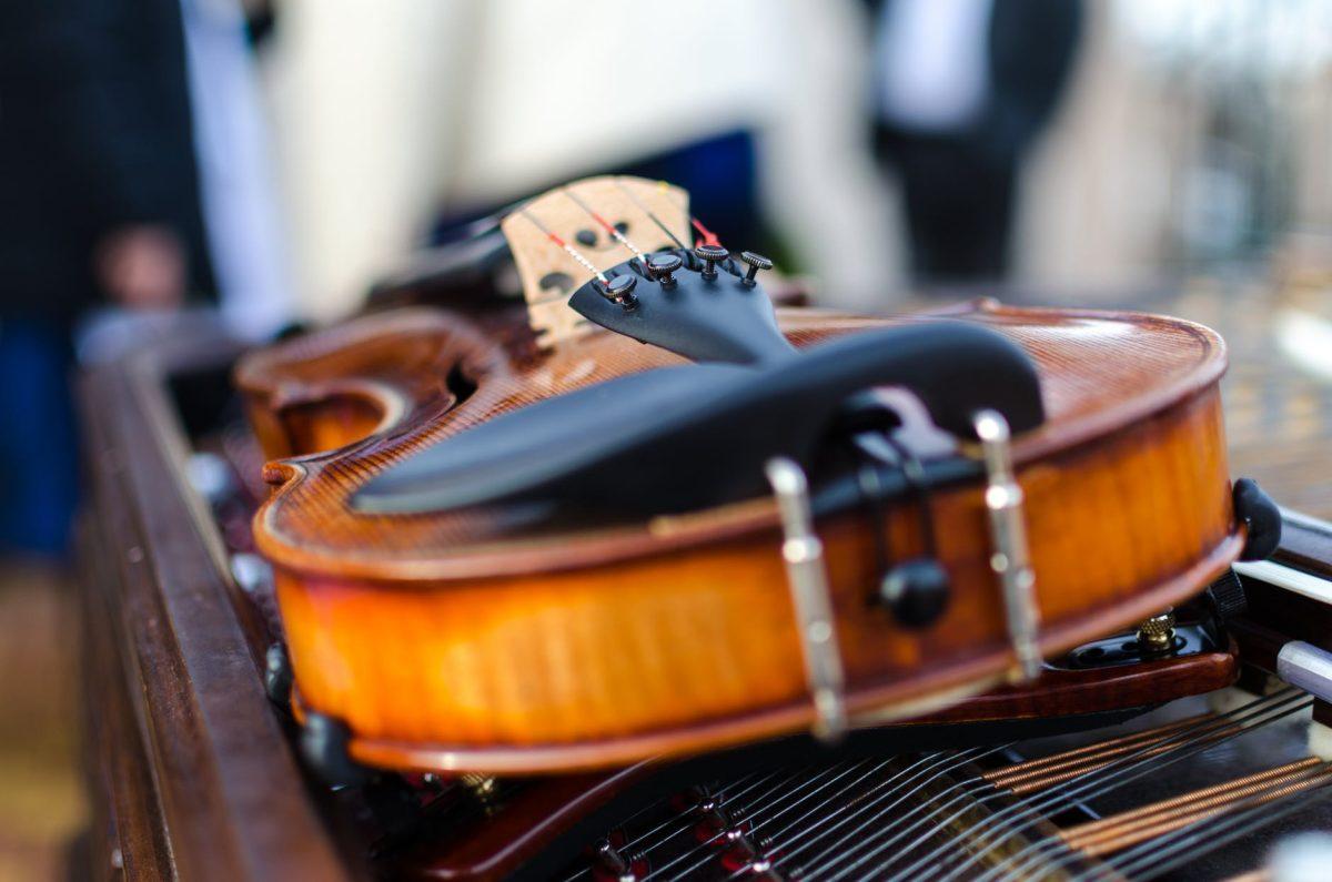 Photo by Lukas on Pexels.com