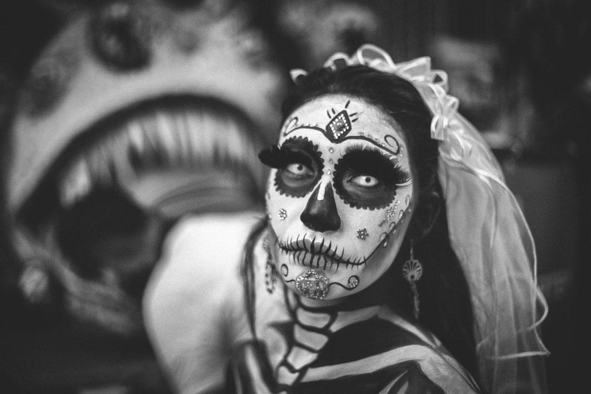 Photo by Rafael Guajardo on Pexels.com