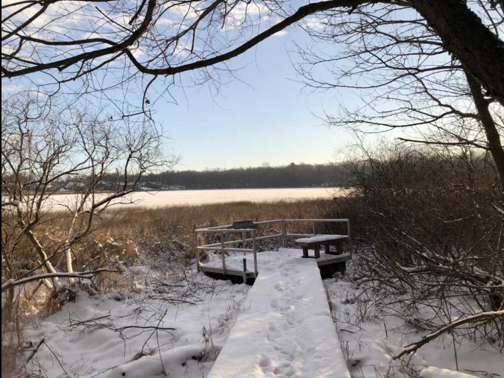 Chamberlain Lake Nature Preserve