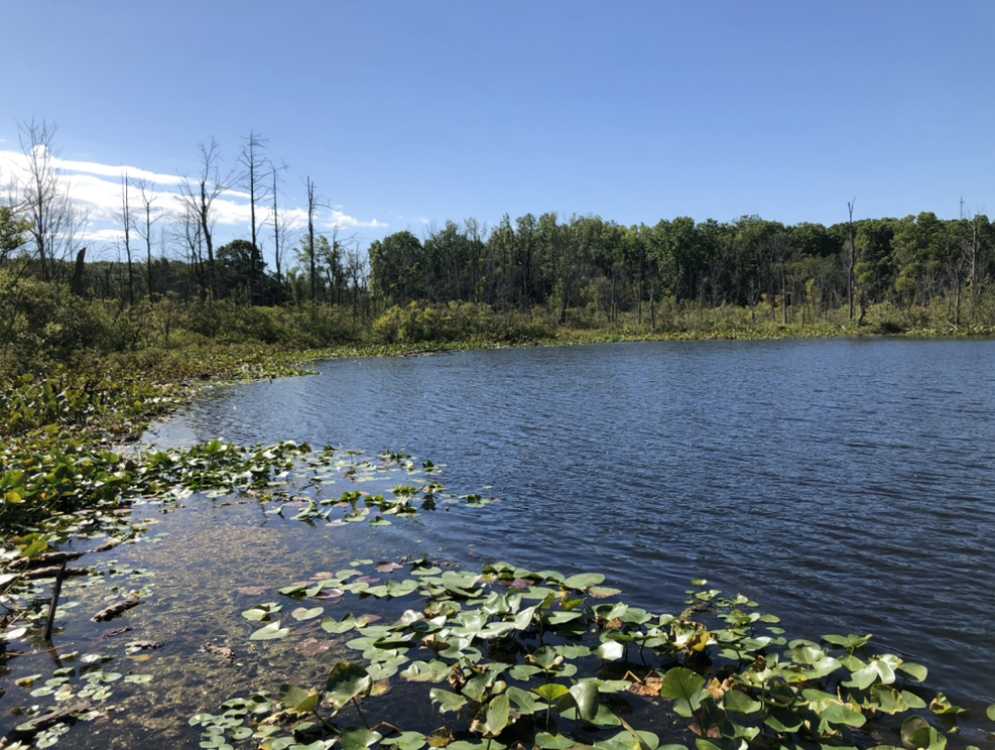 A view of Spicer Lake County park. Photo/John Griffee.
