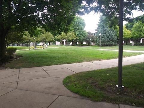 IUSB during the fall semester. Photo/Tori Wilson