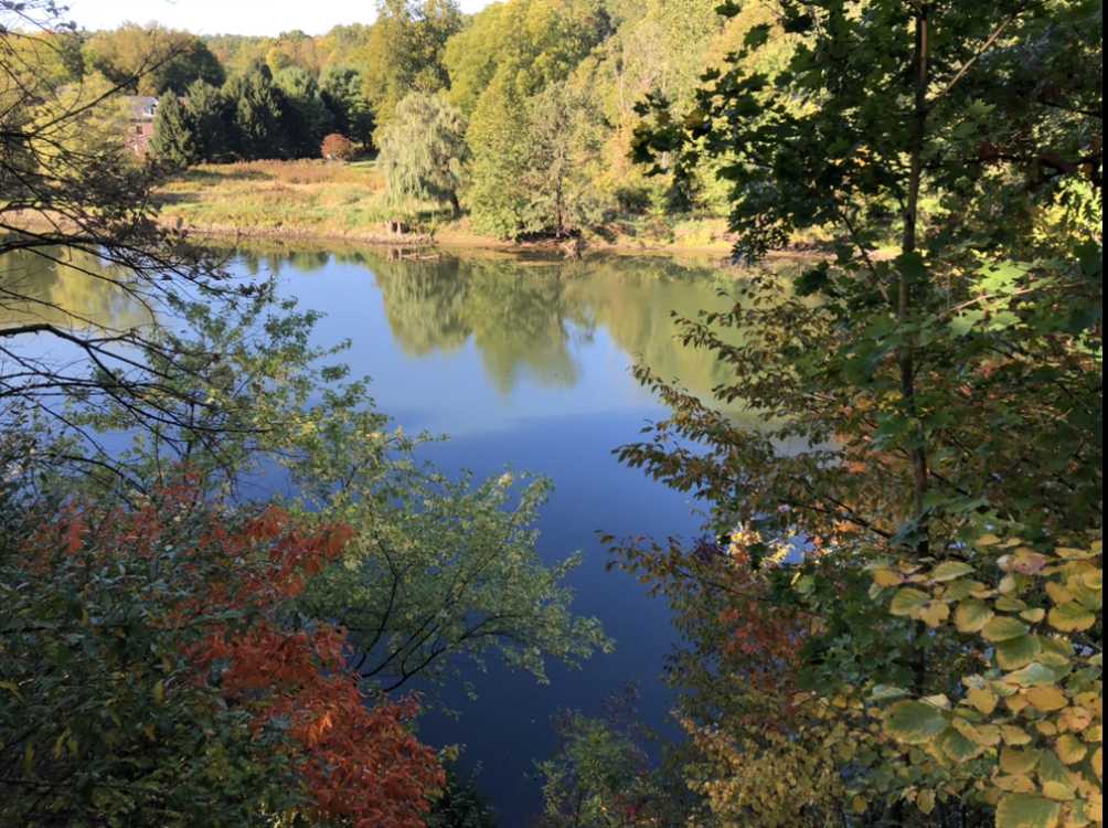 Madeline Bertrand County Park // John Griffee