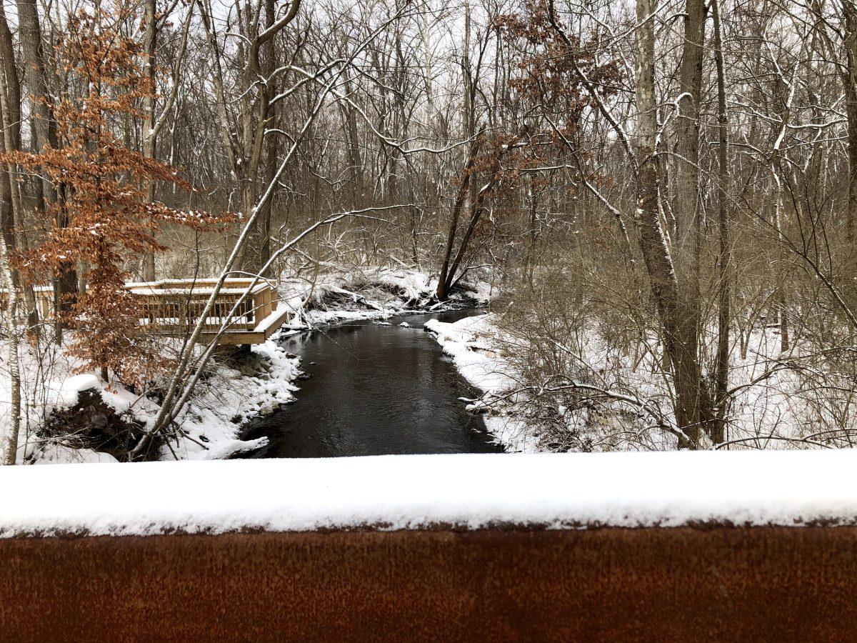 A walk in the woods: Brandywine Creek Nature Park