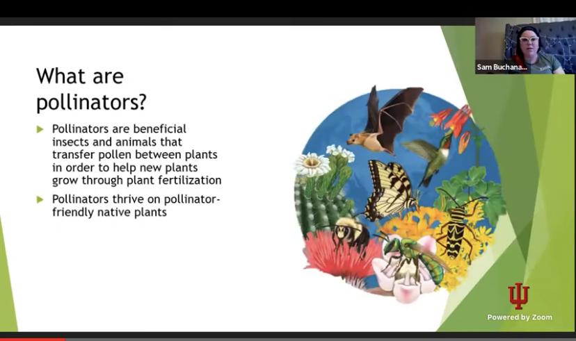 IU South Bend Center for a Sustainable Future lecture 