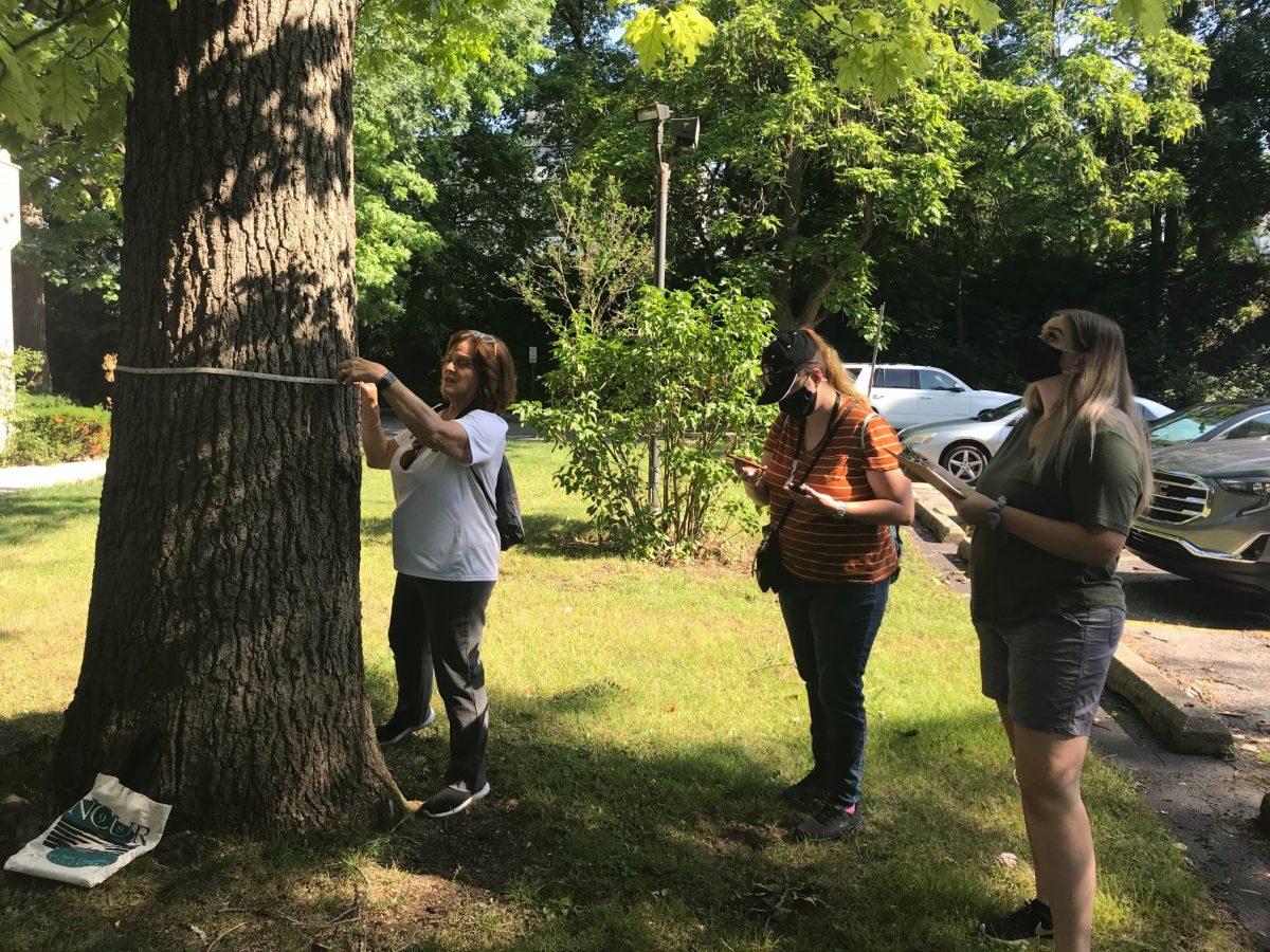 Sustainability Club to host first meeting of 2021