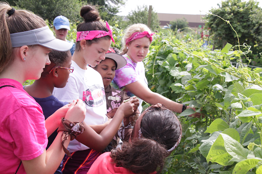 South Bend Unity Gardens welcomes student volunteers￼