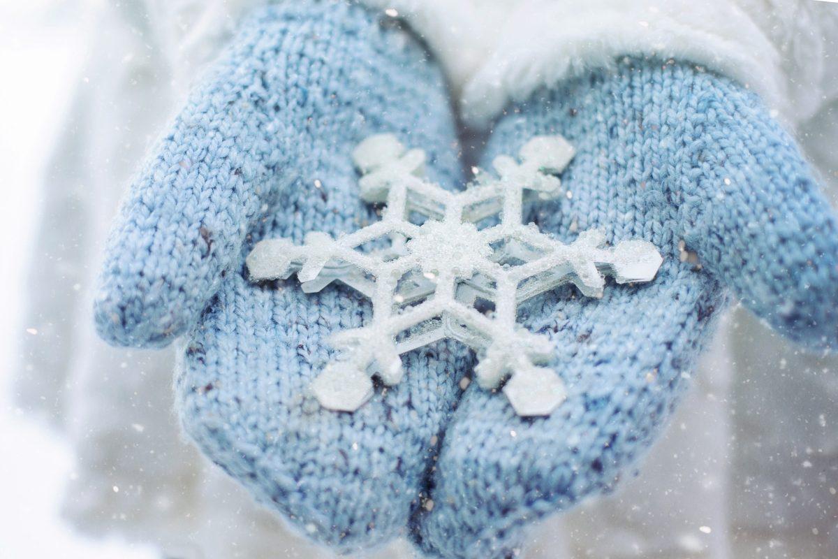 Chill out this winter season with local festive activities