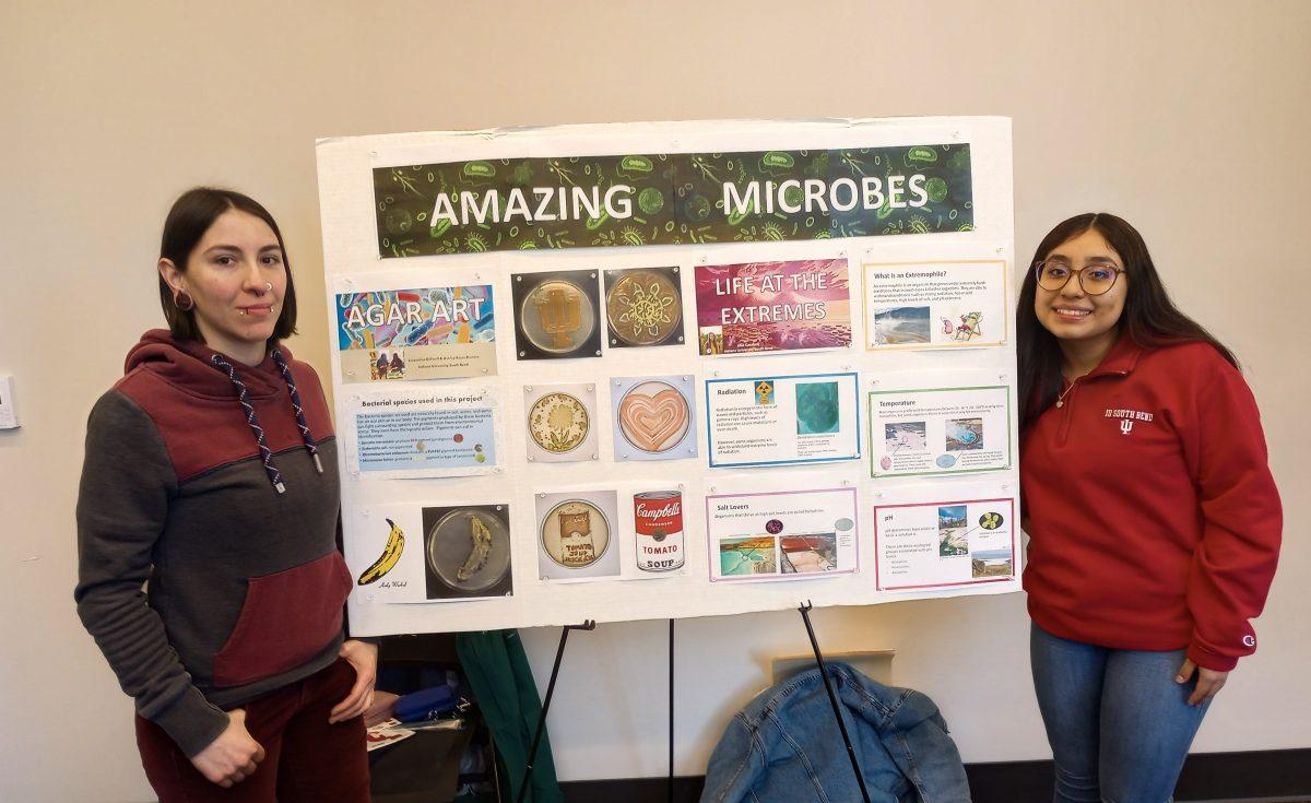 Science Alive: community comes together to express passion for science