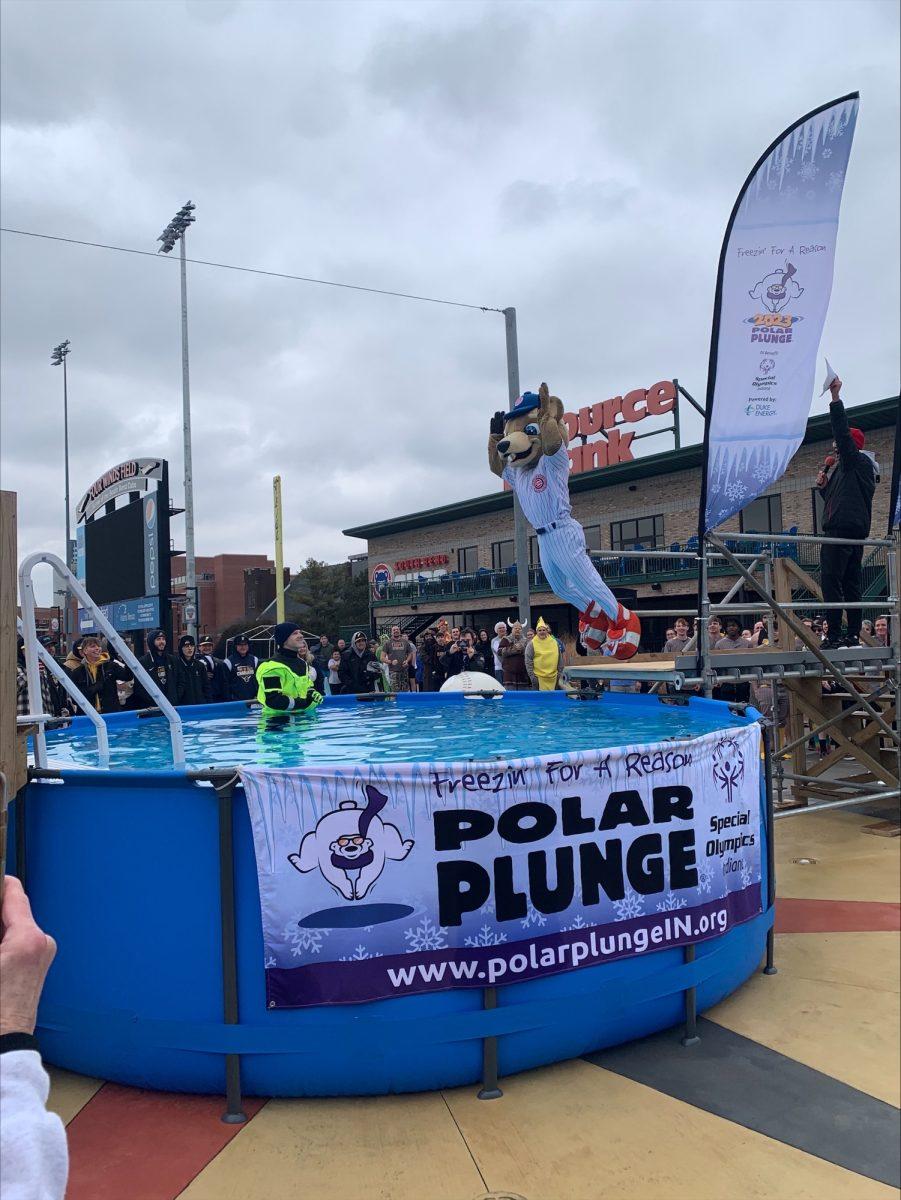 IUSB makes a splash for the Special Olympics