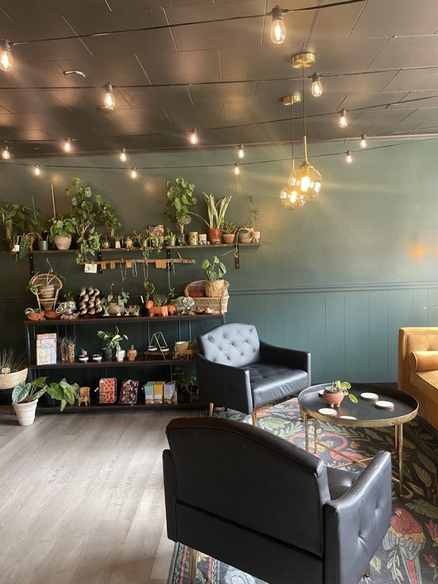 Sip n Study: Ivy Terra Plant Cafe