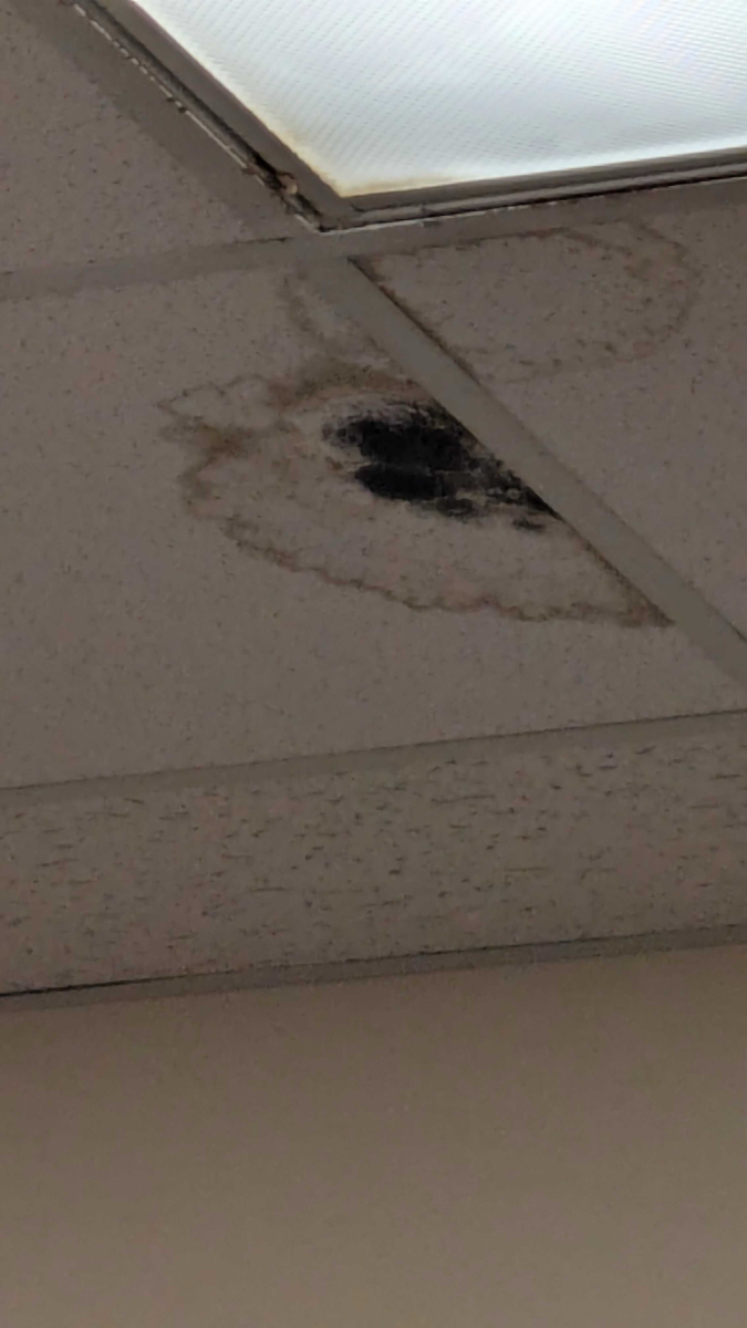 Students, faculty express environmental health concerns about Northside Hall